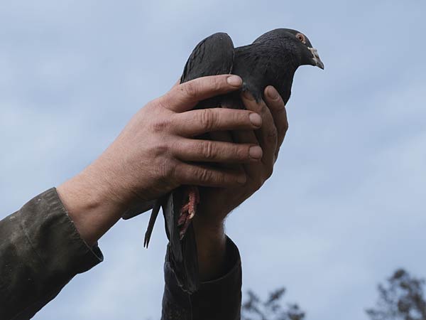 Vonovia Award f&uuml;r Fotografie No.8