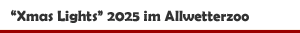 'Xmas Lights' 2025 im Allwetterzoo in Münster