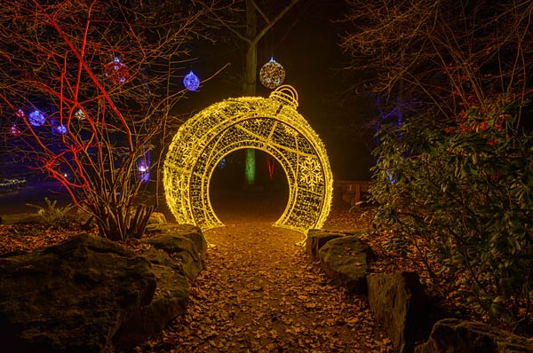 'Xmas Lights' 2025 im Allwetterzoo in M&uuml;nster