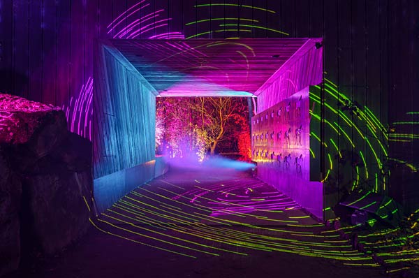 'Xmas Lights' 2025 im Allwetterzoo in M&uuml;nster