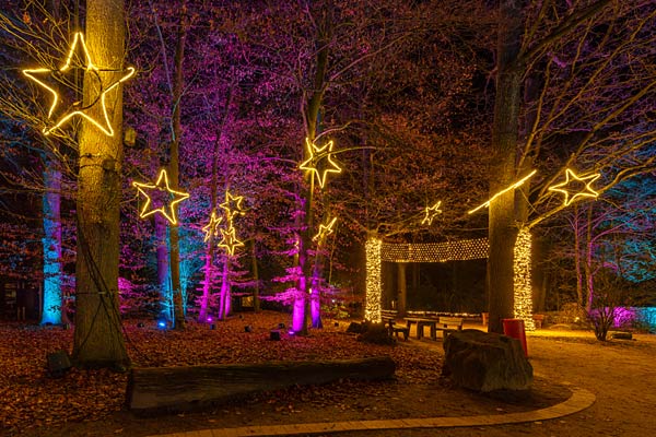 'Xmas Lights' 2025 im Allwetterzoo in M&uuml;nster