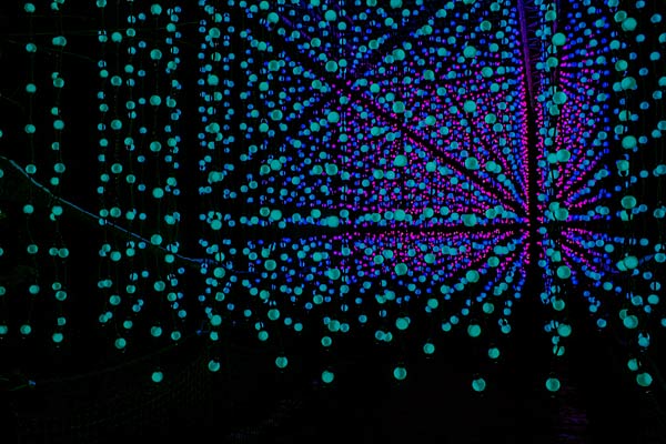 'Xmas Lights' 2025 im Allwetterzoo in M&uuml;nster