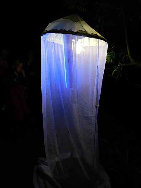 'Lange Sommernacht mit Bat Night' im Zoo Krefeld