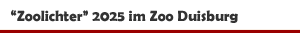 'Zoolichter' 2025 im Zoo Duisburg